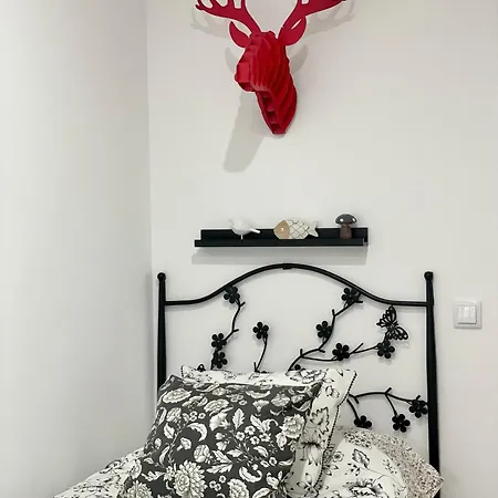 Vut El Cordón Con Garaje Zamora